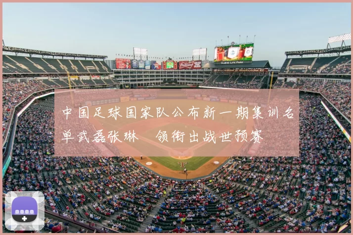 中国足球国家队公布新一期集训名单武磊张琳芃领衔出战世预赛