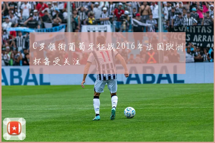 C罗领衔葡萄牙征战2016年法国欧洲杯备受关注