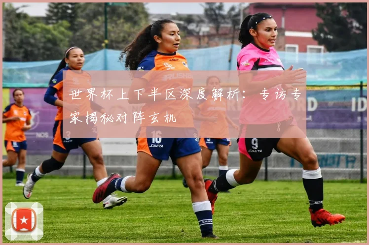 世界杯上下半区深度解析:专访专家揭秘对阵玄机